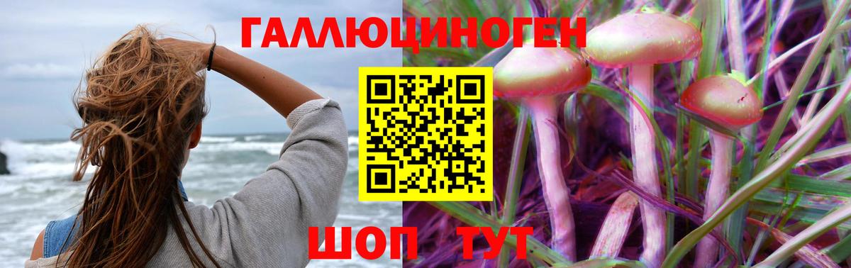 Галлюциногенные грибы ЛСД  Псилоцибиновые грибы прущие грибы  Губкин  закладка  Вход с VPN 