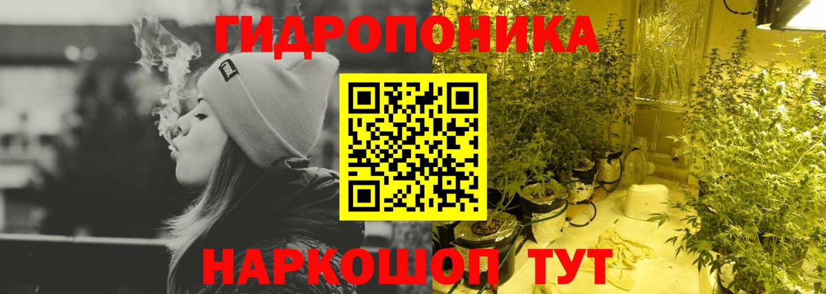 Бошки Шишки планчик Губкин